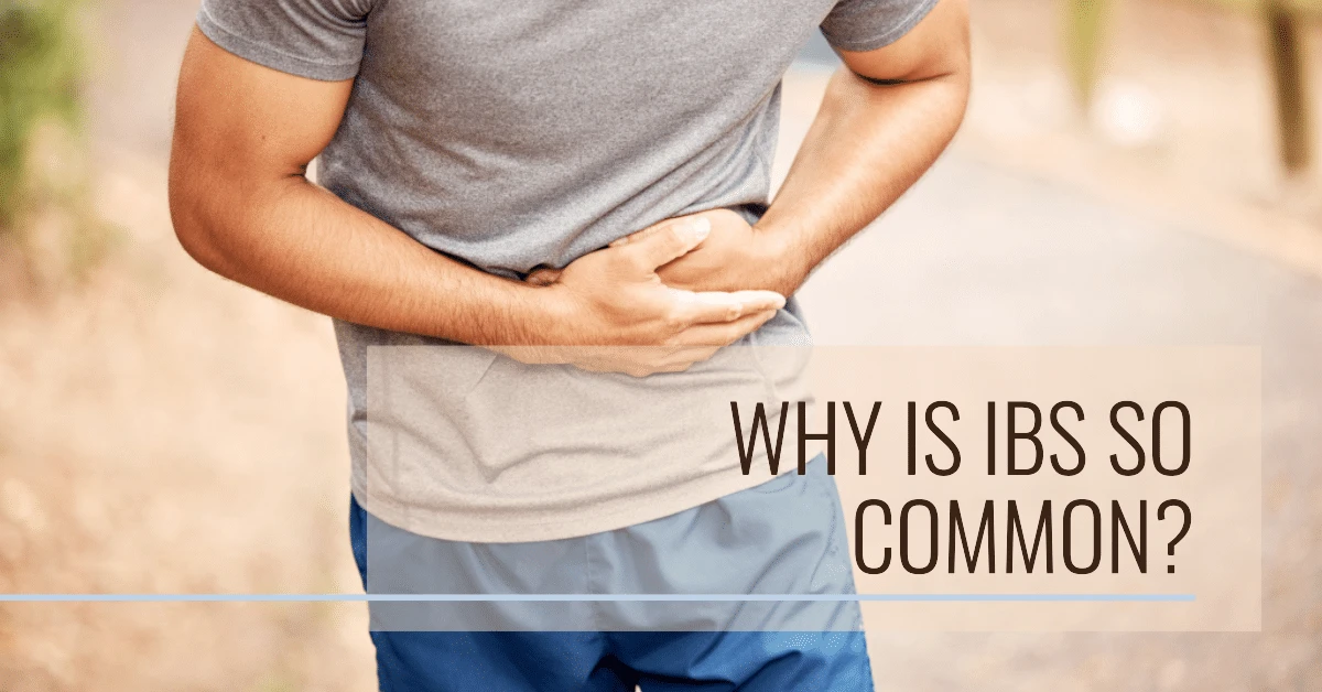 a featured image for an article about why is ibs so common