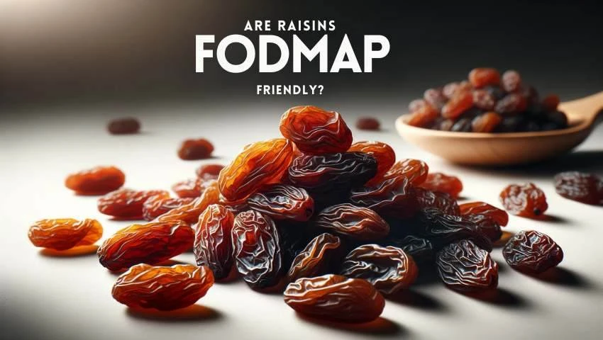 A featured image for an article all about are raisins fodmap friendly