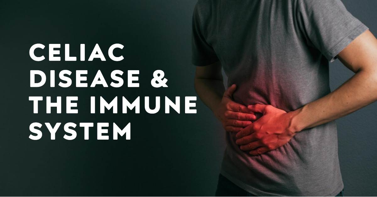 A featured image for an article all about do celiacs have a weakened immune system