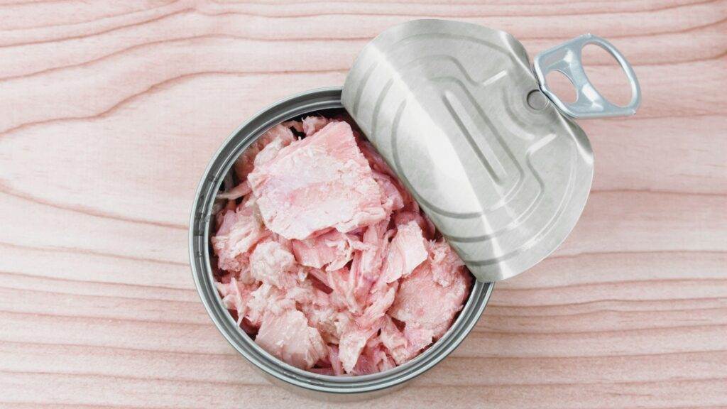 An open can of tuna on a kitchen counter top.