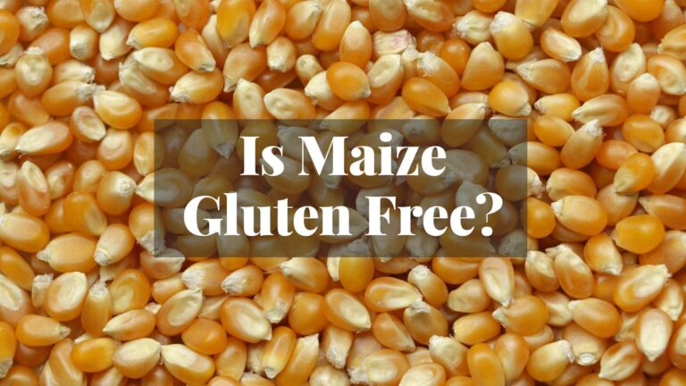 Is Maize Gluten Free? Revealing the Hidden Dimensions of Corn